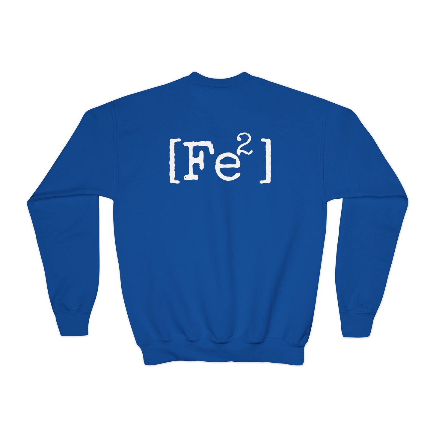 FEFE Apparel Co. Youth Crewneck Sweatshirt – Vintage Chicago Logo