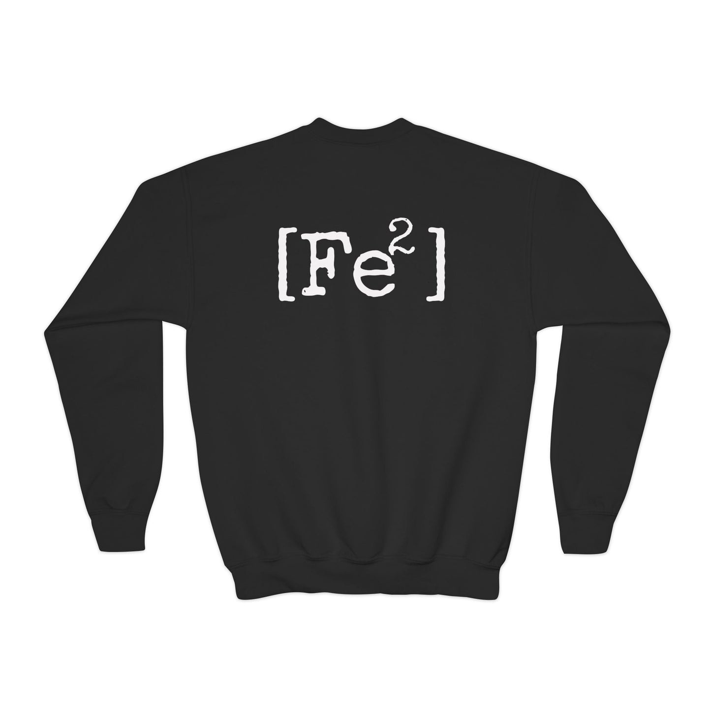 FEFE Apparel Co. Youth Crewneck Sweatshirt – Vintage Chicago Logo