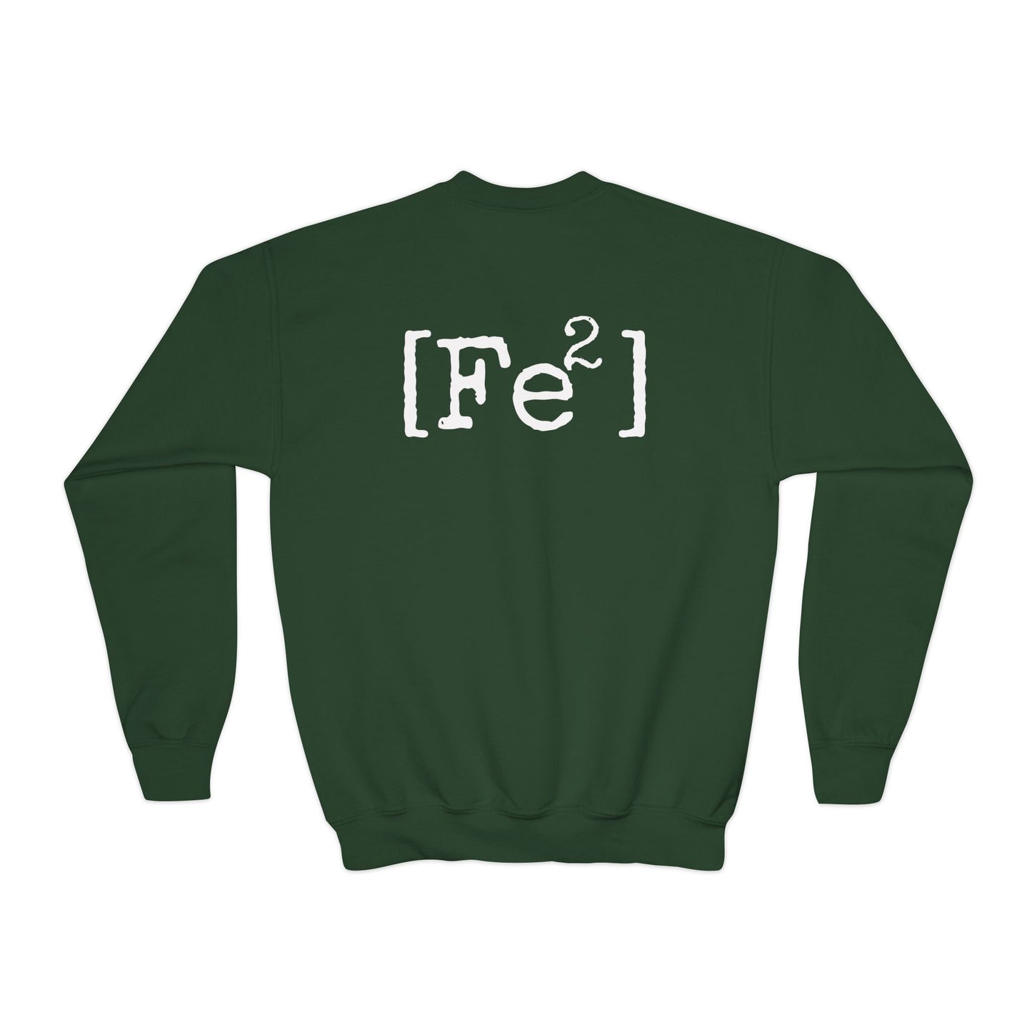 FEFE Apparel Co. Youth Crewneck Sweatshirt – Vintage Chicago Logo
