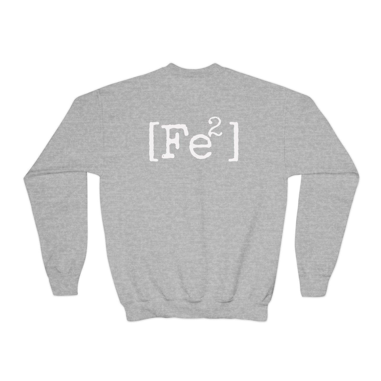 FEFE Apparel Co. Youth Crewneck Sweatshirt – Vintage Chicago Logo