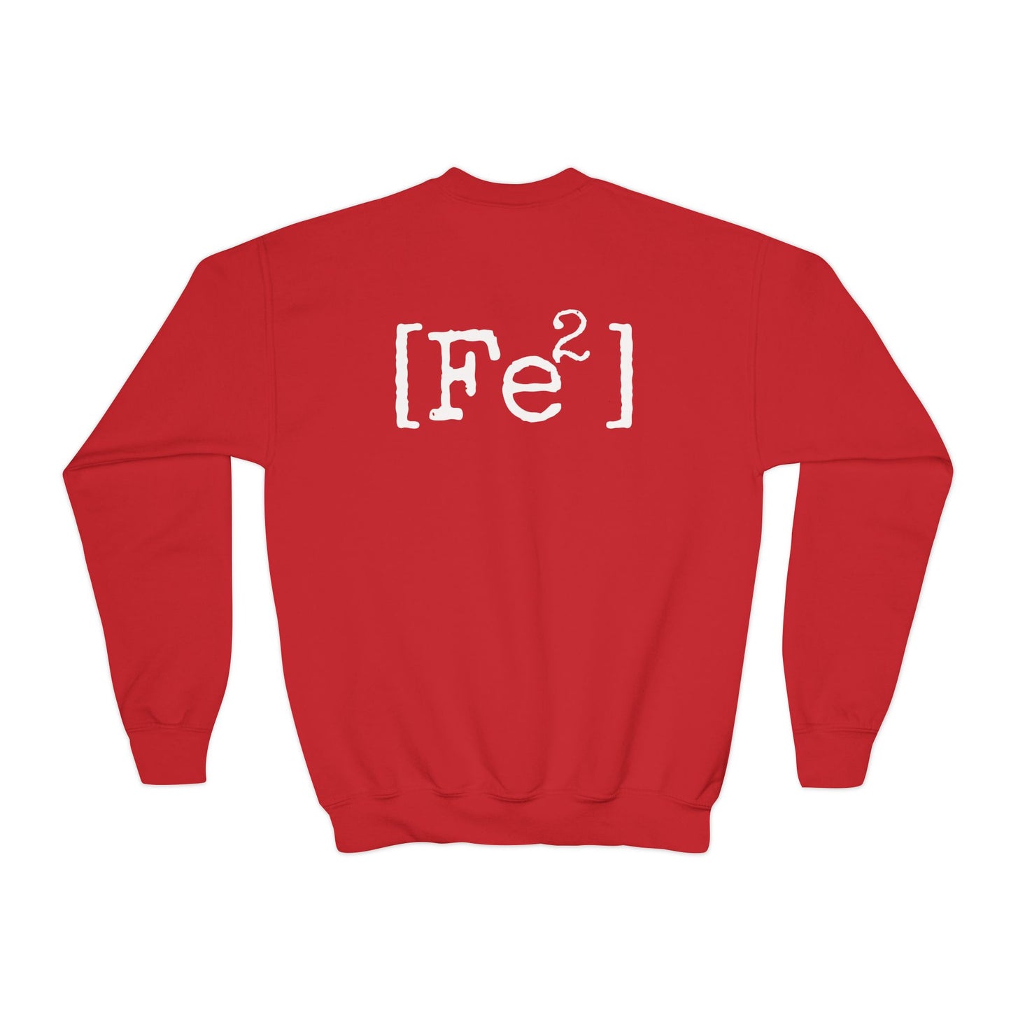 FEFE Apparel Co. Youth Crewneck Sweatshirt – Vintage Chicago Logo